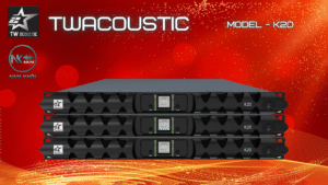 TW Acoustic K20