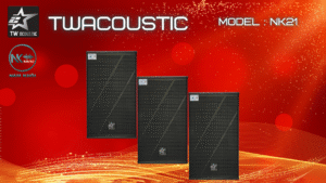 TWACOUSTIC NK21