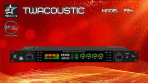 TWACOUSTIC F5+